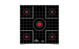 B/C DIRTY BIRD SIGHT IN TGT 12-12"