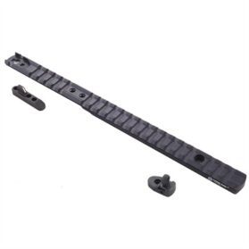 MARLIN 1895 LEVER RAIL SIGHT SYSTEM